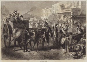 The Chiaja ، نابولي بواسطة جوستاف جانيت